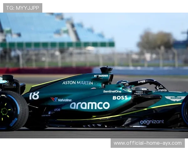 F1赛车手颈部力量训练法：提升赛道表现的秘密武器