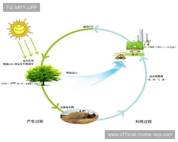 发展潜力巨大未来可期（392 ）